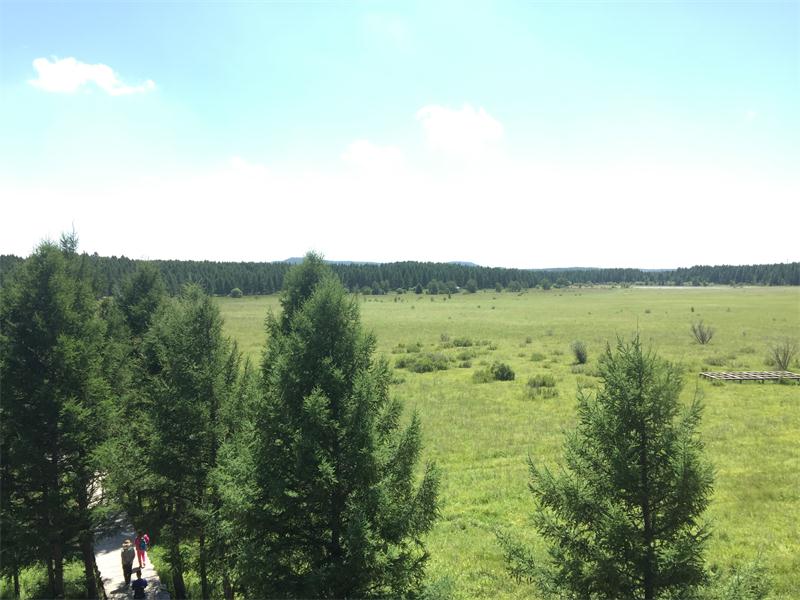 塞罕壩明珠七星湖 詩(shī)情畫(huà)意似仙境(圖8)