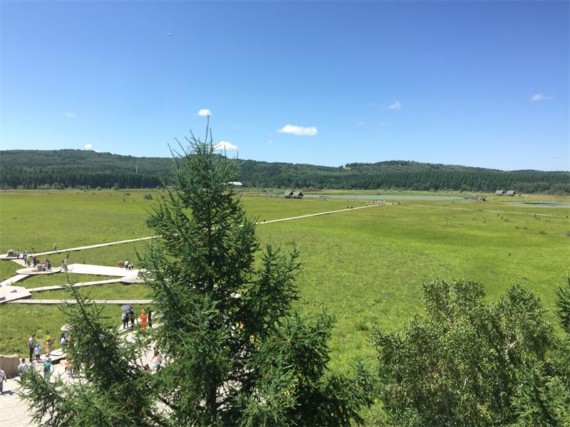 塞罕壩明珠七星湖 詩(shī)情畫(huà)意似仙境(圖7)