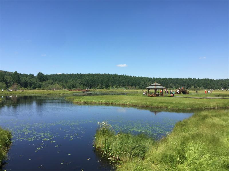 塞罕壩明珠七星湖 詩(shī)情畫(huà)意似仙境(圖4)