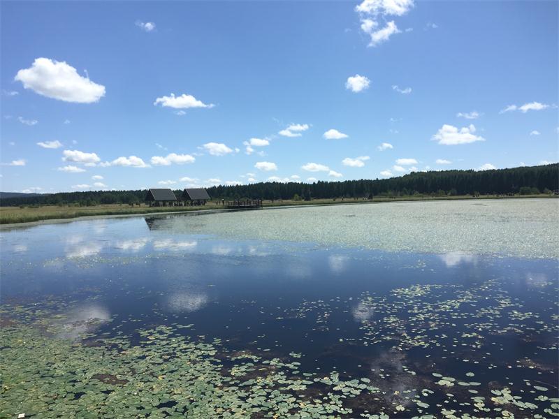 塞罕壩明珠七星湖 詩(shī)情畫(huà)意似仙境(圖10)