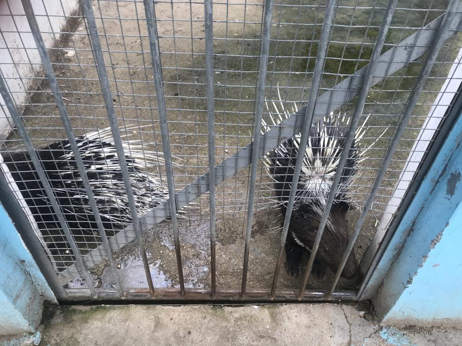 天鵝湖風景區(qū)（泰山）速覽！(圖10)