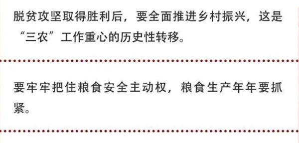 2020年中央農(nóng)村工作會(huì)議精神速覽！(圖2)