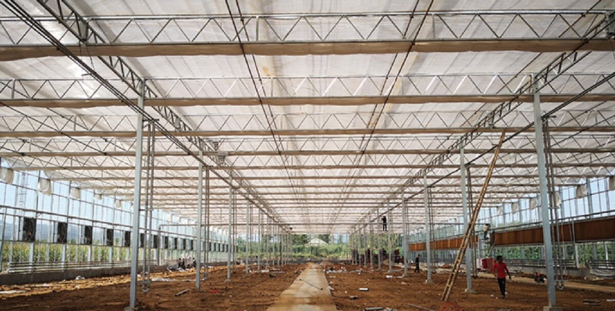 信橋鋼構：打卡蒙陰農業(yè)溫室大棚、青州黑牛養(yǎng)殖基地！(圖3)