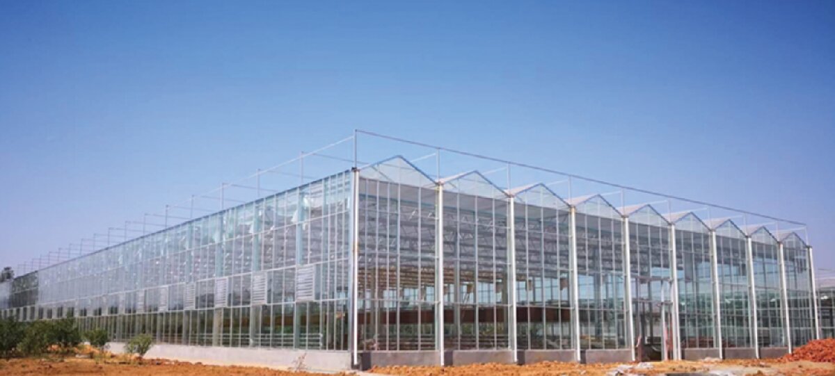 信橋鋼構：打卡蒙陰農業(yè)溫室大棚、青州黑牛養(yǎng)殖基地！(圖2)