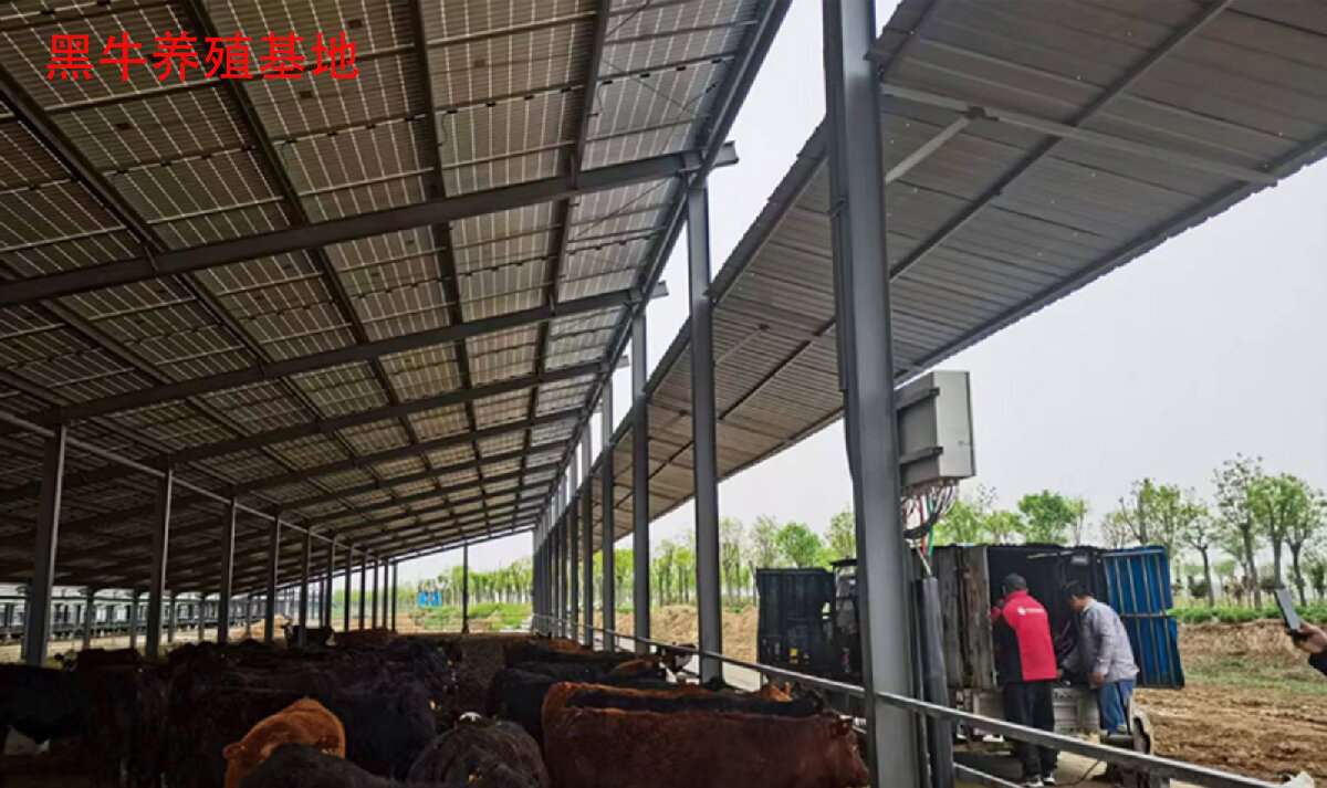 鋼結構工程全流程服務：山東信橋鋼結構有限公司(圖13)